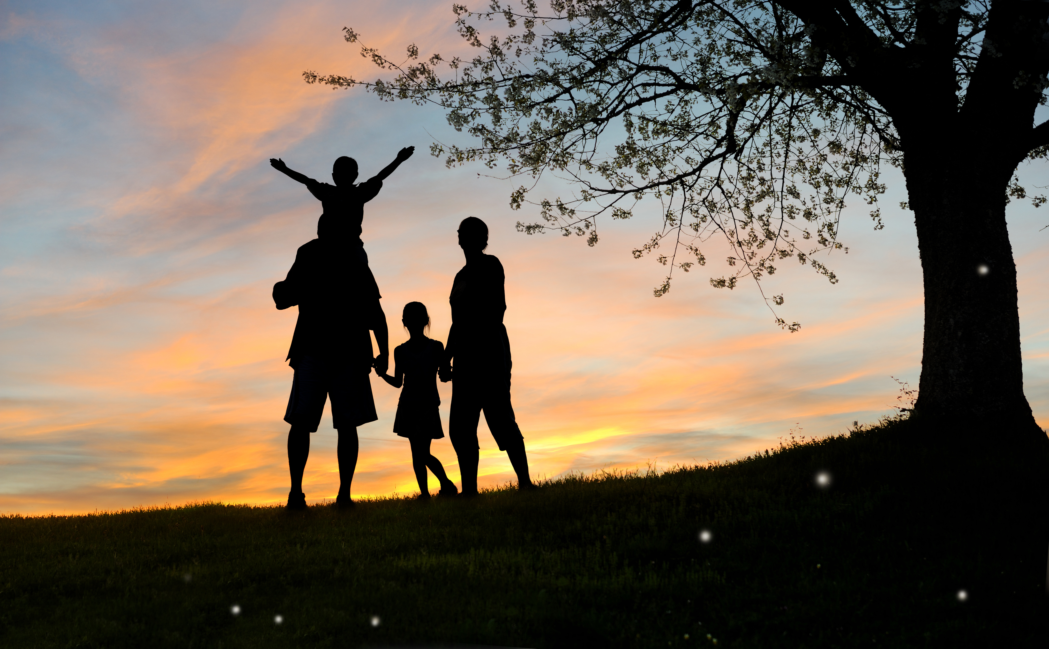 family sunset with tree